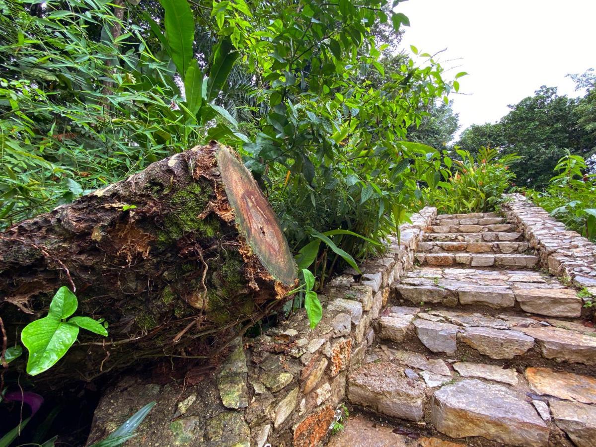 Hotel La Aldea Del Halach Huinic Palenque Εξωτερικό φωτογραφία