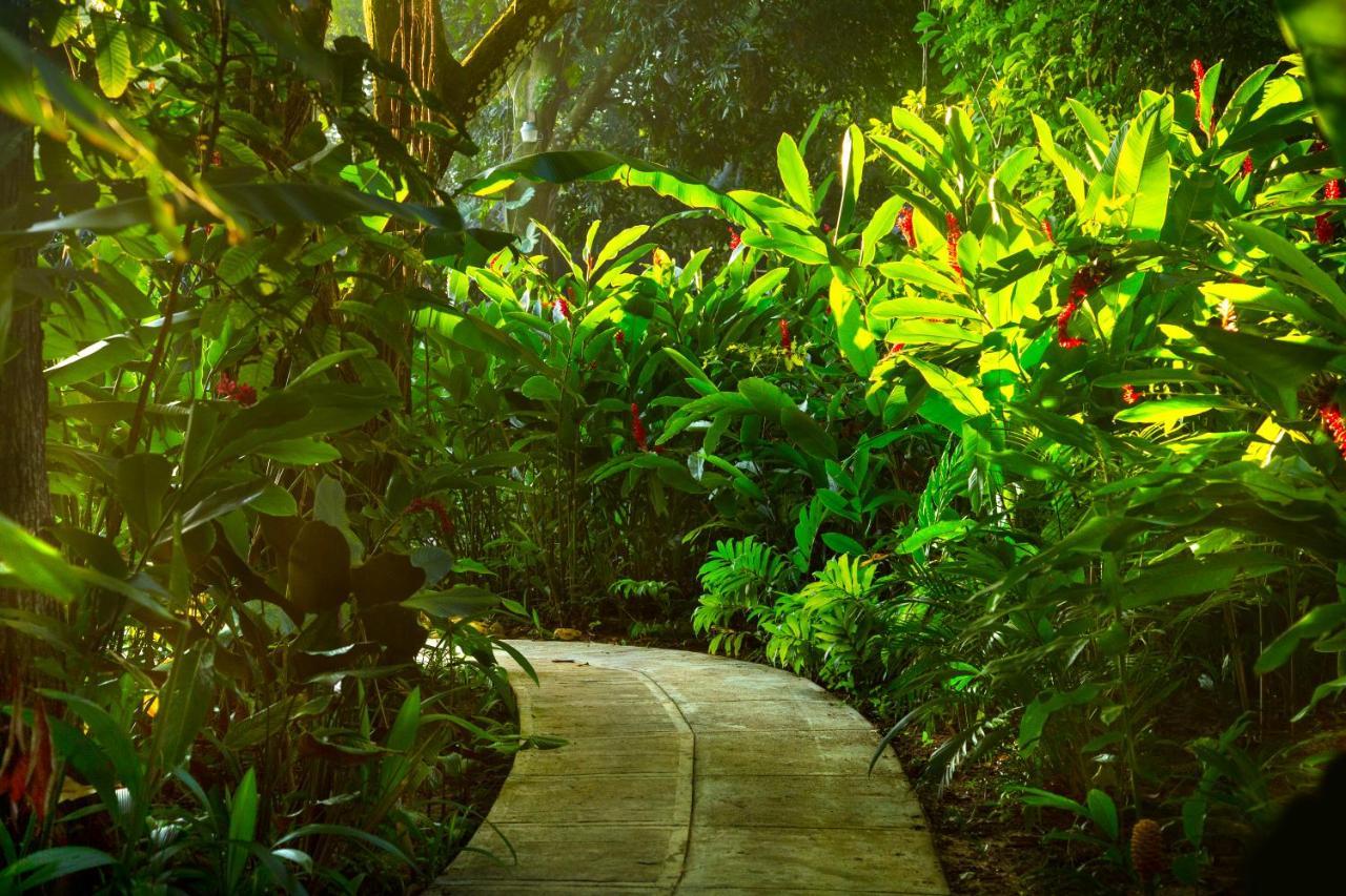 Hotel La Aldea Del Halach Huinic Palenque Εξωτερικό φωτογραφία