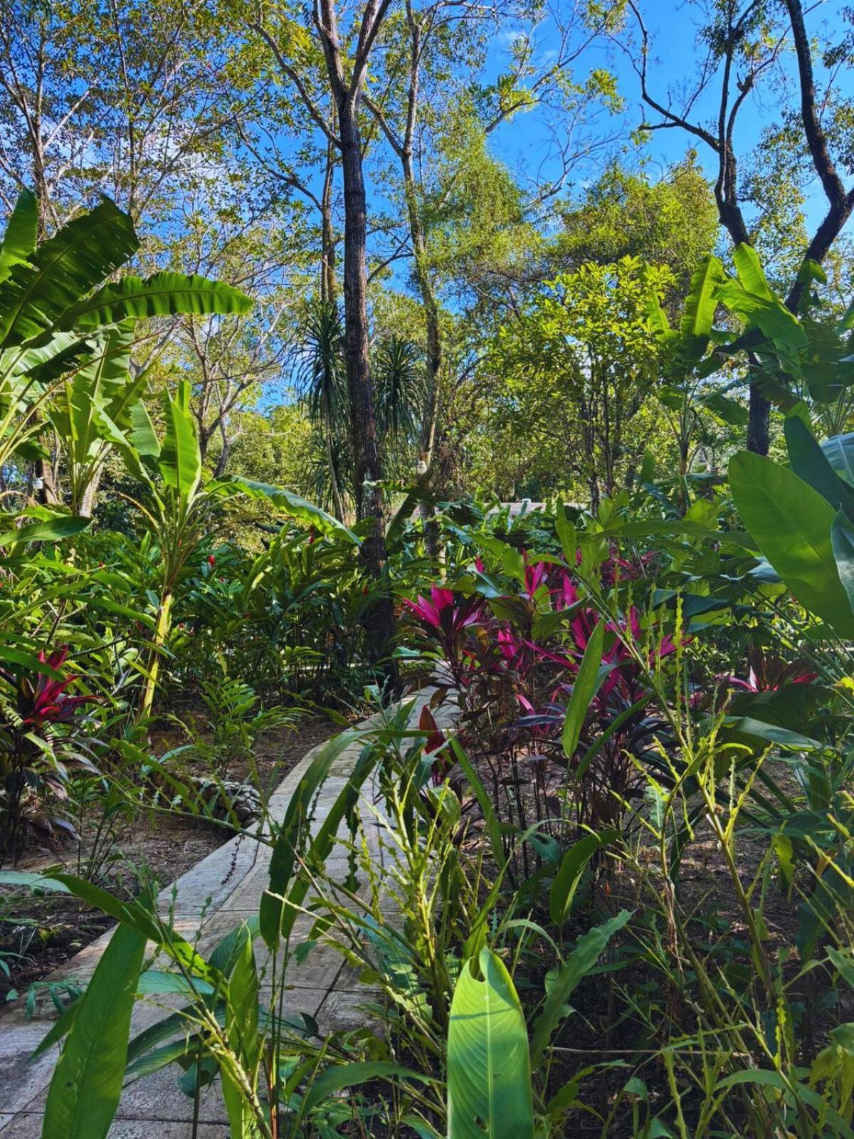 Hotel La Aldea Del Halach Huinic Palenque Εξωτερικό φωτογραφία