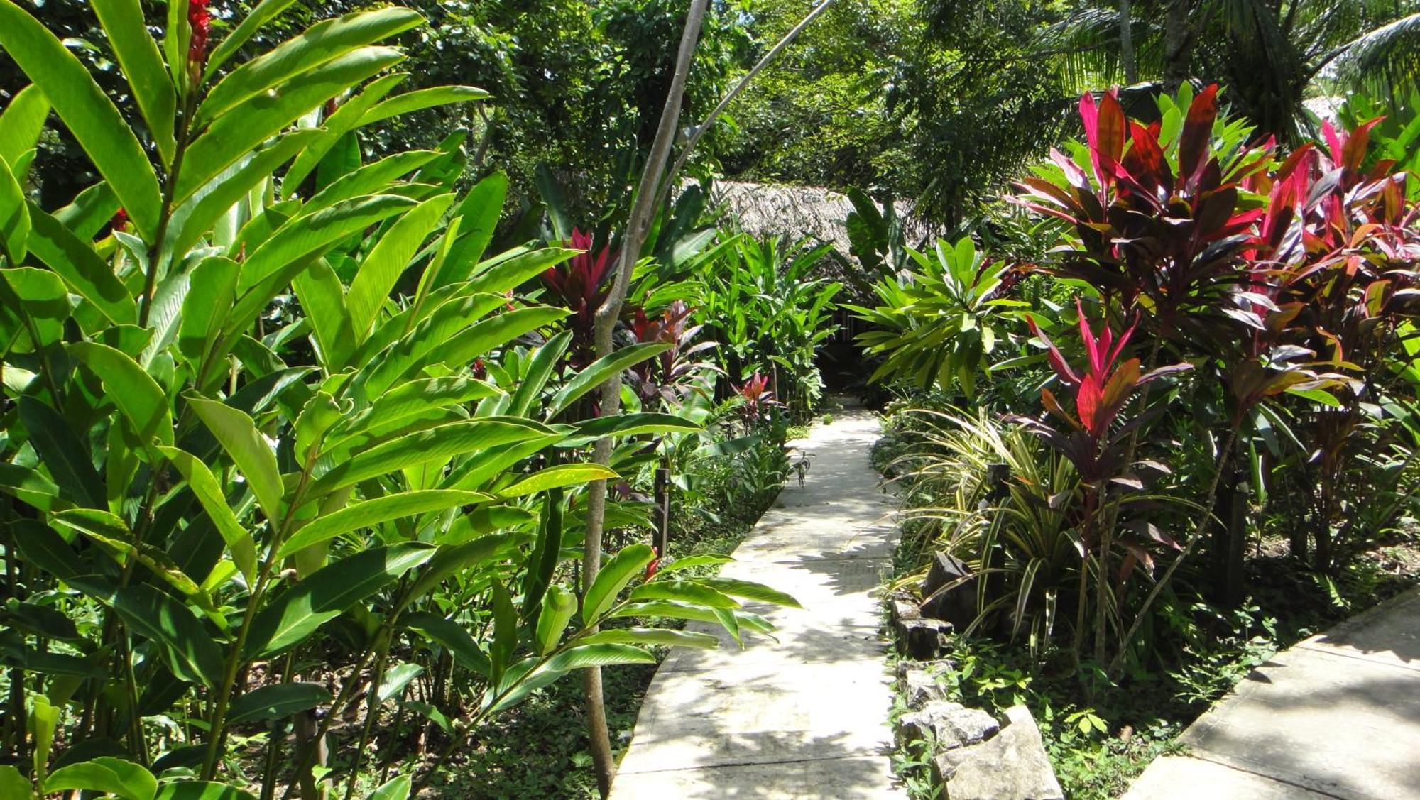 Hotel La Aldea Del Halach Huinic Palenque Εξωτερικό φωτογραφία