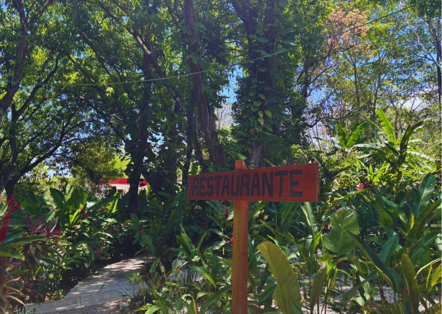 Hotel La Aldea Del Halach Huinic Palenque Εξωτερικό φωτογραφία