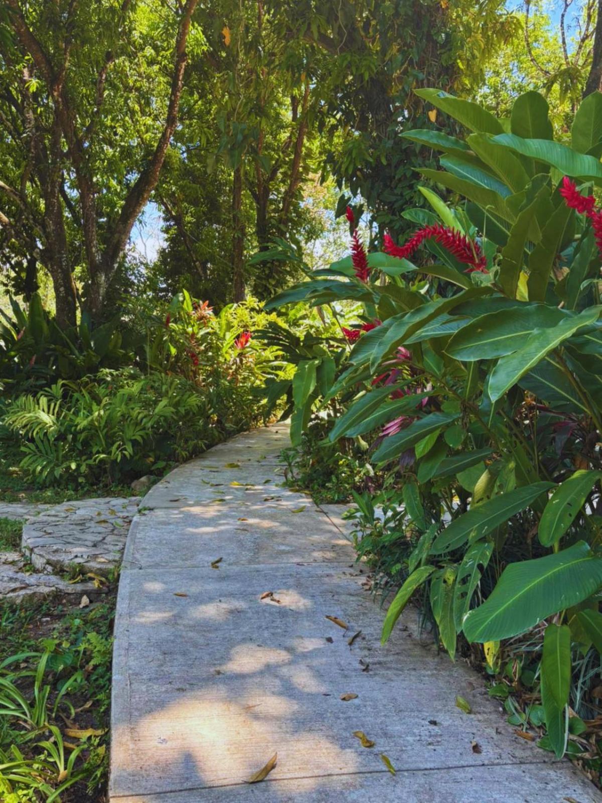 Hotel La Aldea Del Halach Huinic Palenque Εξωτερικό φωτογραφία