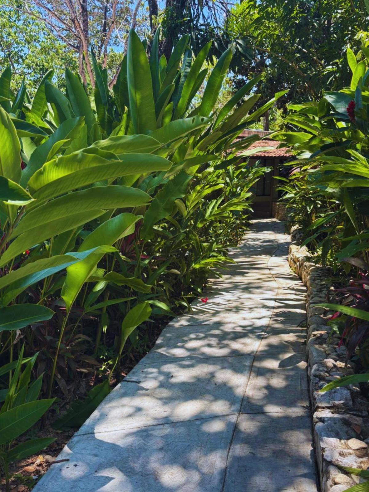 Hotel La Aldea Del Halach Huinic Palenque Εξωτερικό φωτογραφία