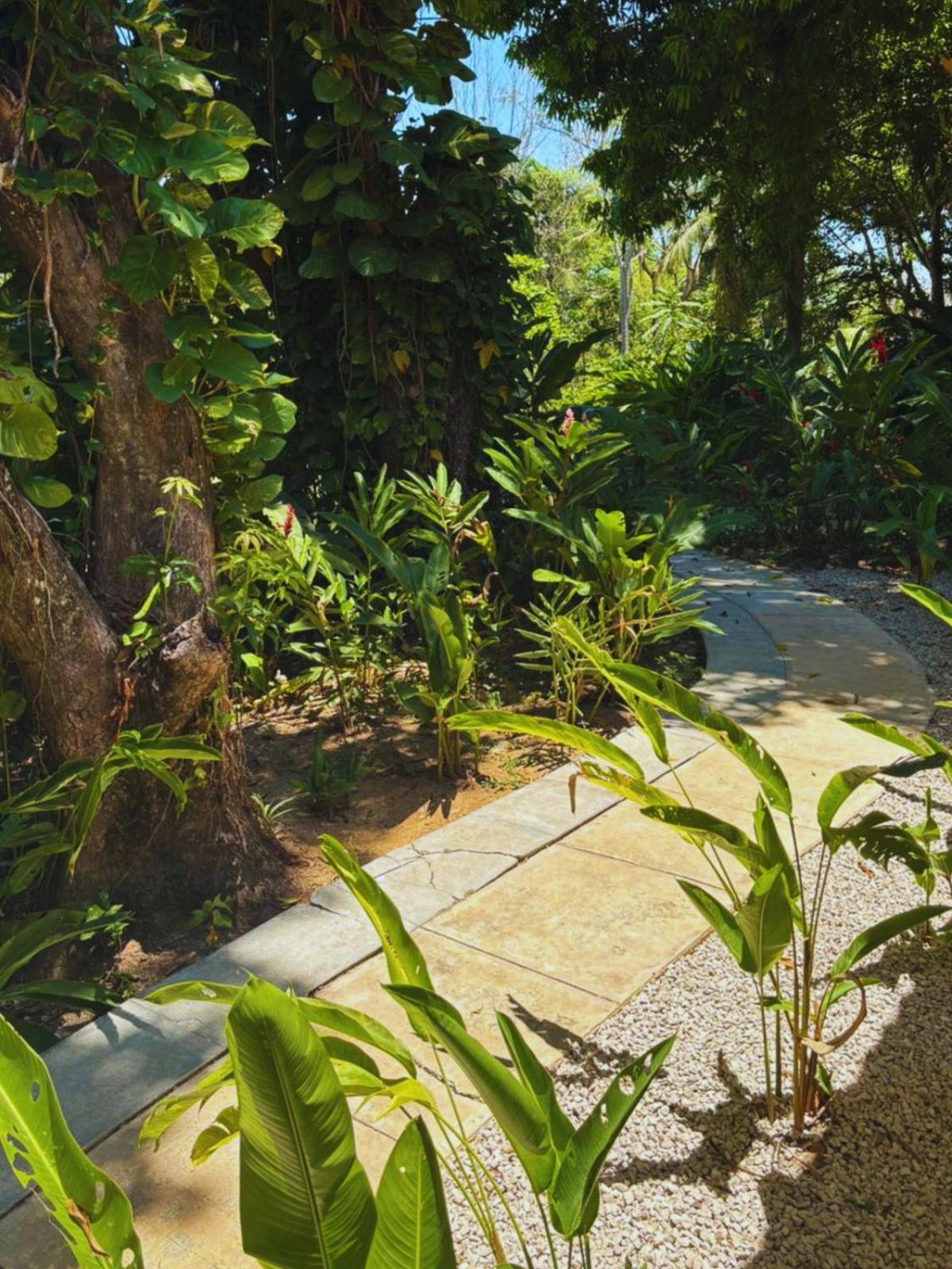 Hotel La Aldea Del Halach Huinic Palenque Εξωτερικό φωτογραφία